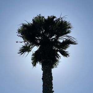 Meet your Posher, Logan